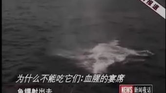 巢湖学院 学贯江淮，筑梦前行